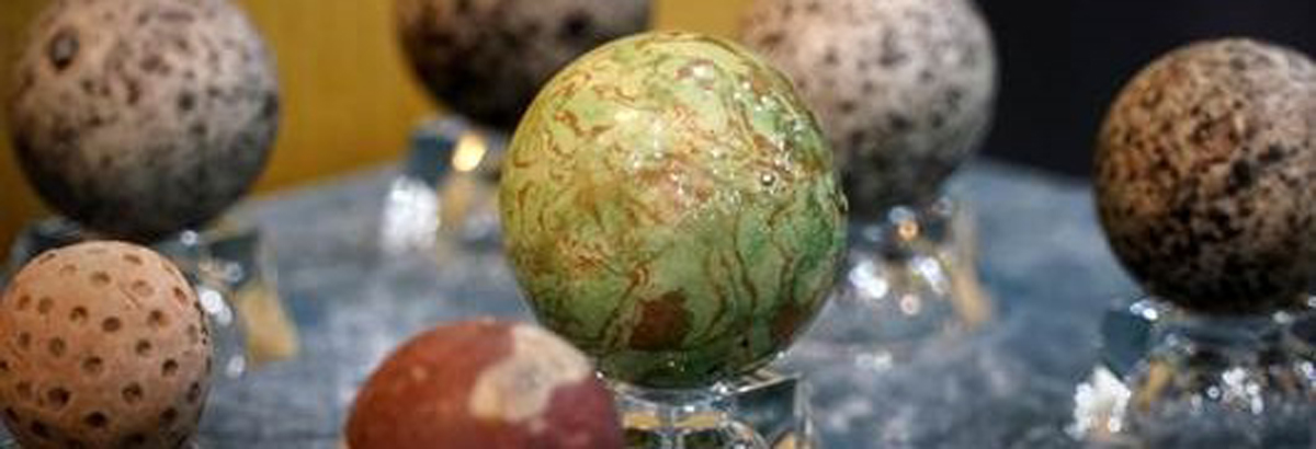 英国威廉希尔公司